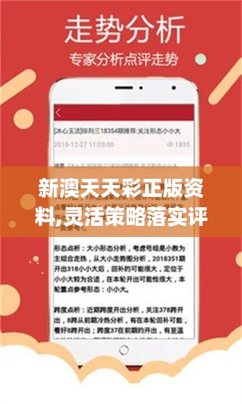 新奥彩精准免费提供,详细解答、解释与落实